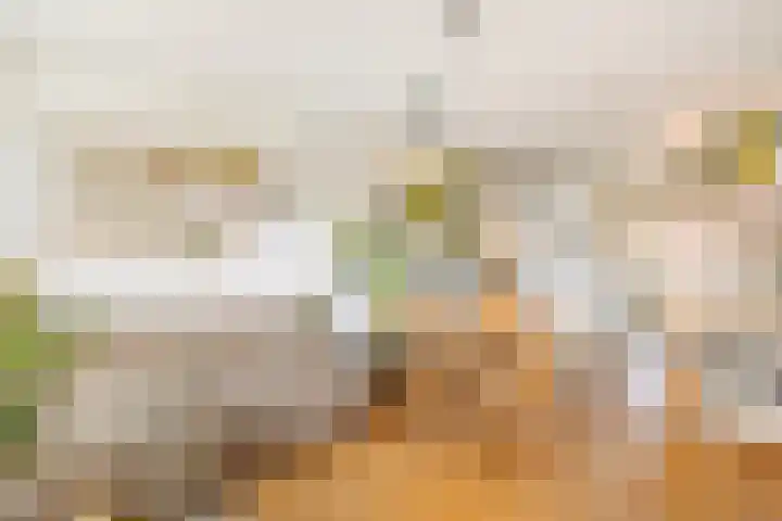 Dahliastraat 25 A Utrecht thumbnail 9