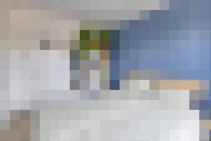 Dahliastraat 256 Zwijndrecht thumbnail 21