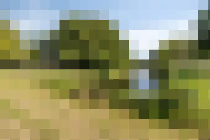 Dahliastraat 256 Zwijndrecht thumbnail 26