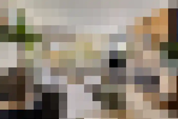 Dahliastraat 256 Zwijndrecht thumbnail 8