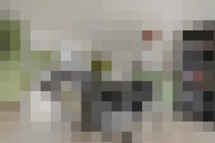 Dahliastraat 26 in Zwijndrecht