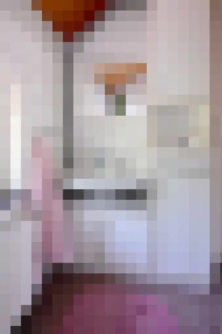 Dahliastraat 26 Deventer thumbnail 17
