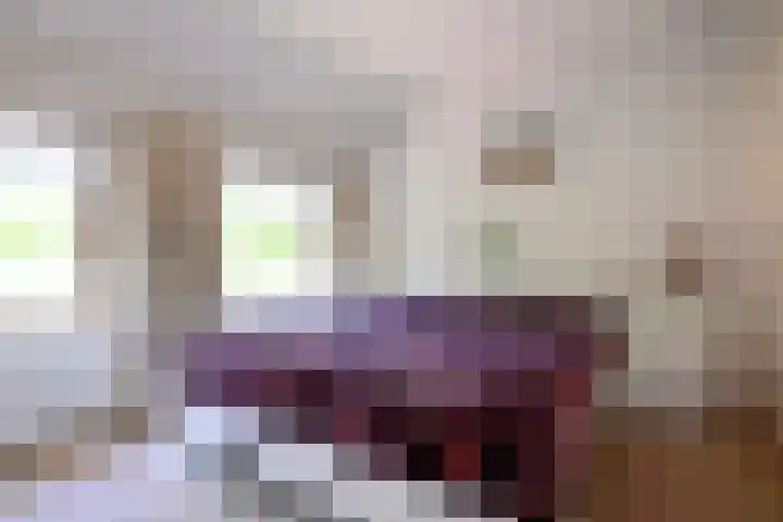 Dahliastraat 26 Deventer thumbnail 18