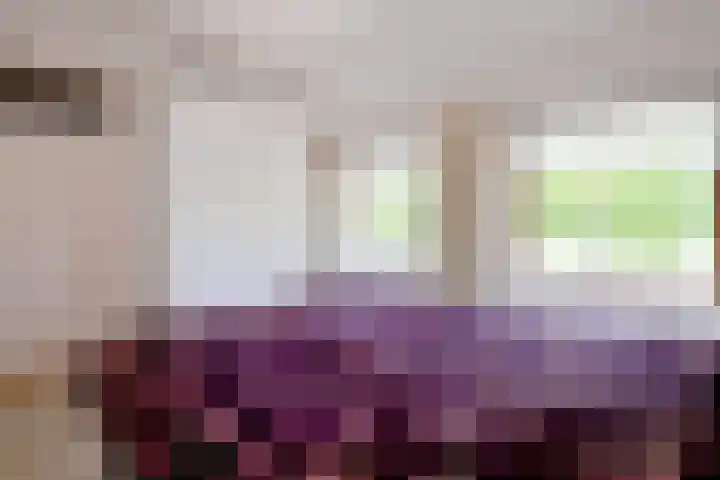 Dahliastraat 26 Deventer thumbnail 19