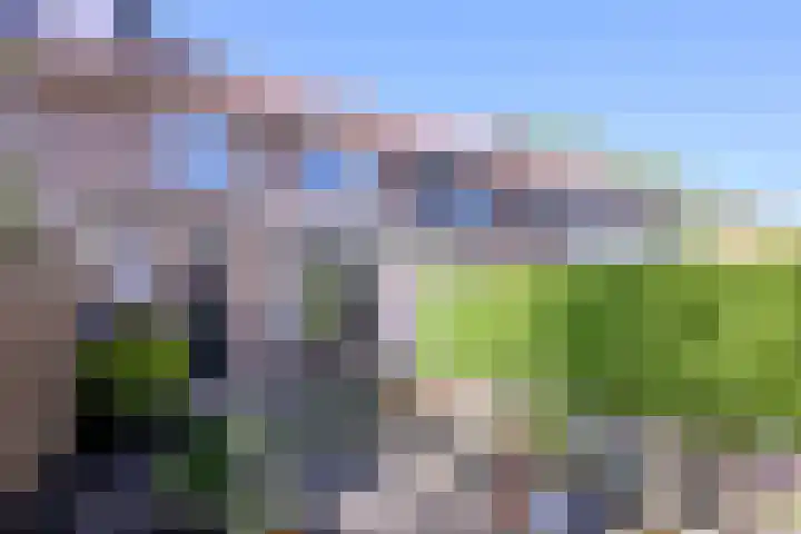 Dahliastraat 26 Deventer thumbnail 26