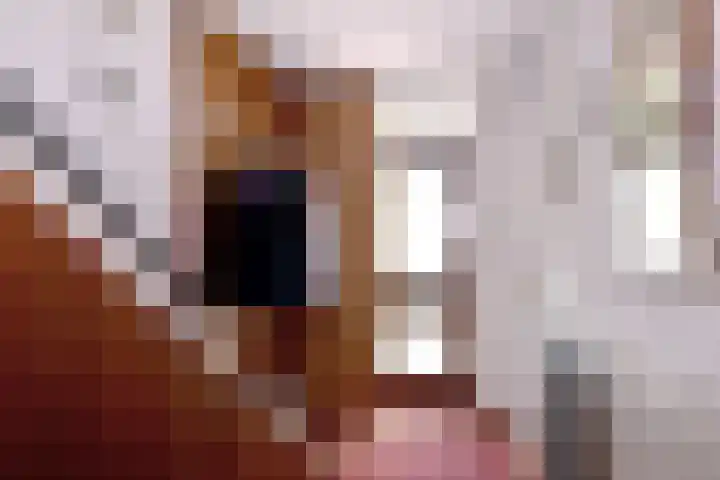 Dahliastraat 26 Deventer thumbnail 27