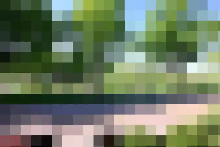 Dahliastraat 26 Deventer thumbnail 28
