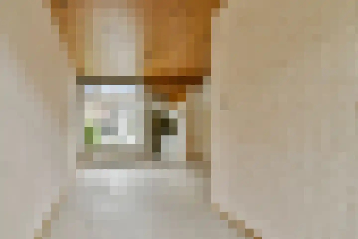 Dahliastraat 26 Vlaardingen thumbnail 4