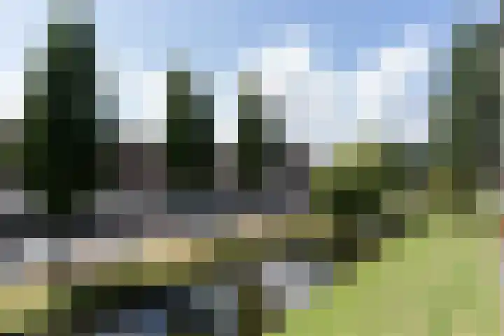 Dahliastraat 26 Zwijndrecht thumbnail 11