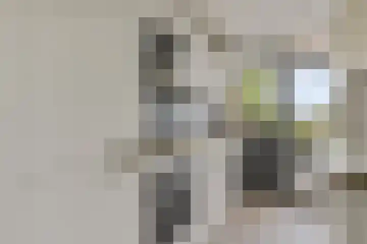 Dahliastraat 26 Zwijndrecht thumbnail 12
