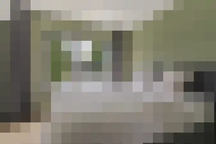 Dahliastraat 26 Zwijndrecht thumbnail 16