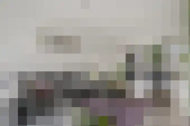 Dahliastraat 26 Zwijndrecht thumbnail 4