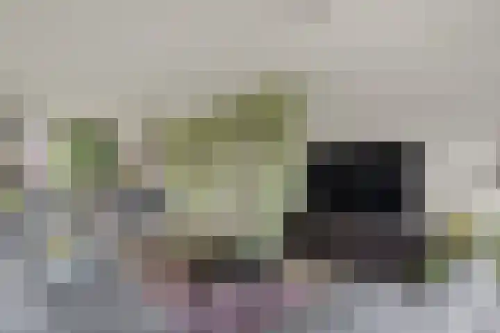 Dahliastraat 26 Zwijndrecht thumbnail 5