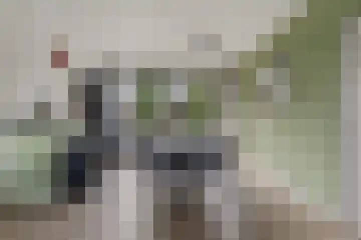 Dahliastraat 26 Zwijndrecht thumbnail 6
