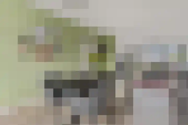 Dahliastraat 26 Zwijndrecht thumbnail 7