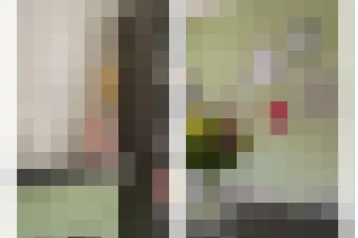 Dahliastraat 26 Zwijndrecht thumbnail 8