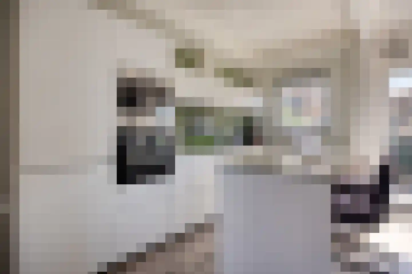 Dahliastraat 27 Stolwijk thumbnail 10