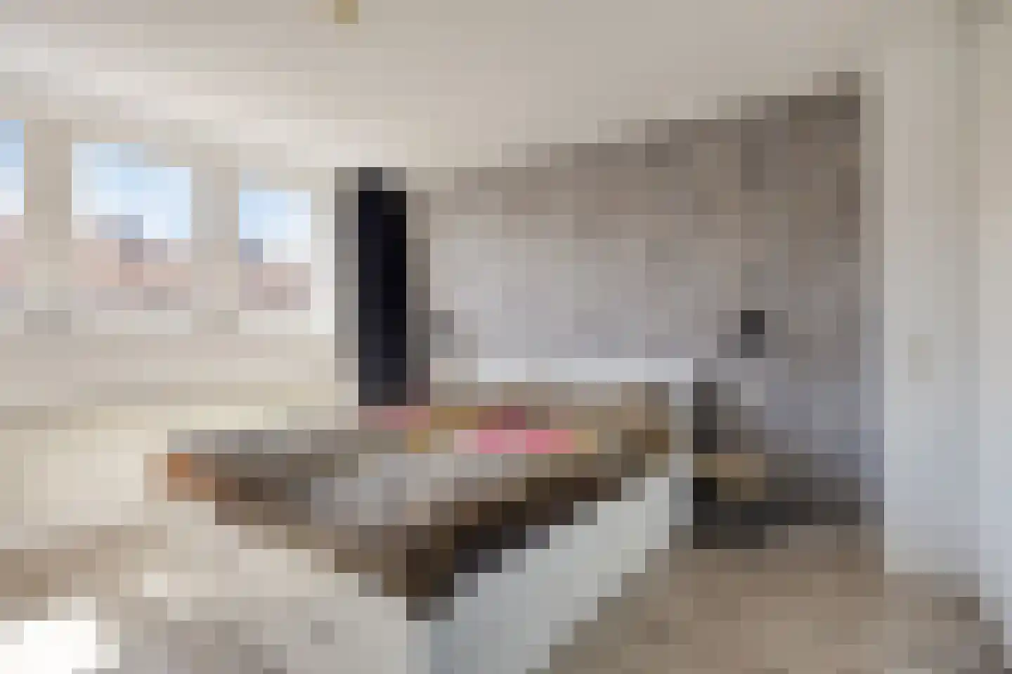 Dahliastraat 27 Stolwijk thumbnail 13