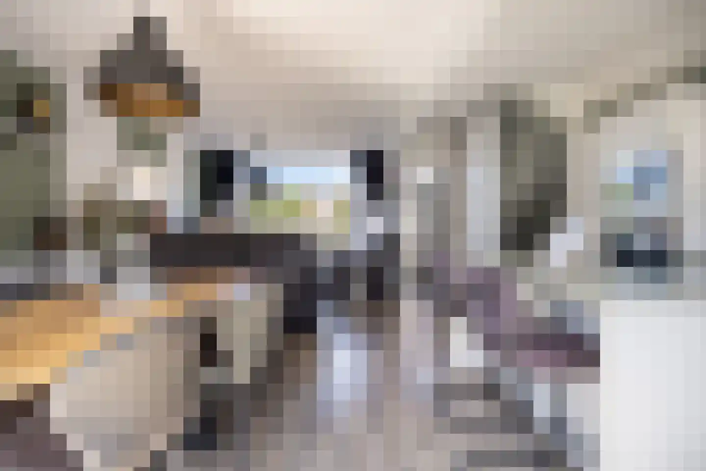Dahliastraat 27 Stolwijk thumbnail 8