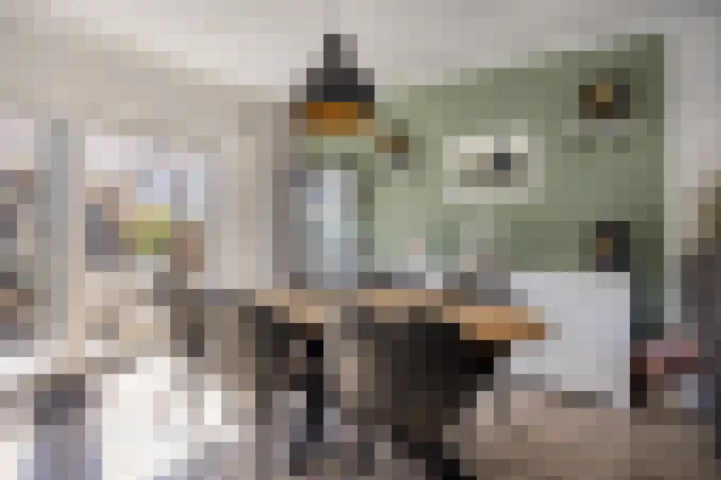Dahliastraat 27 Stolwijk thumbnail 9