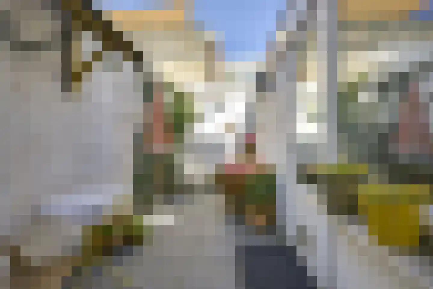 Dahliastraat 27 Utrecht thumbnail 14