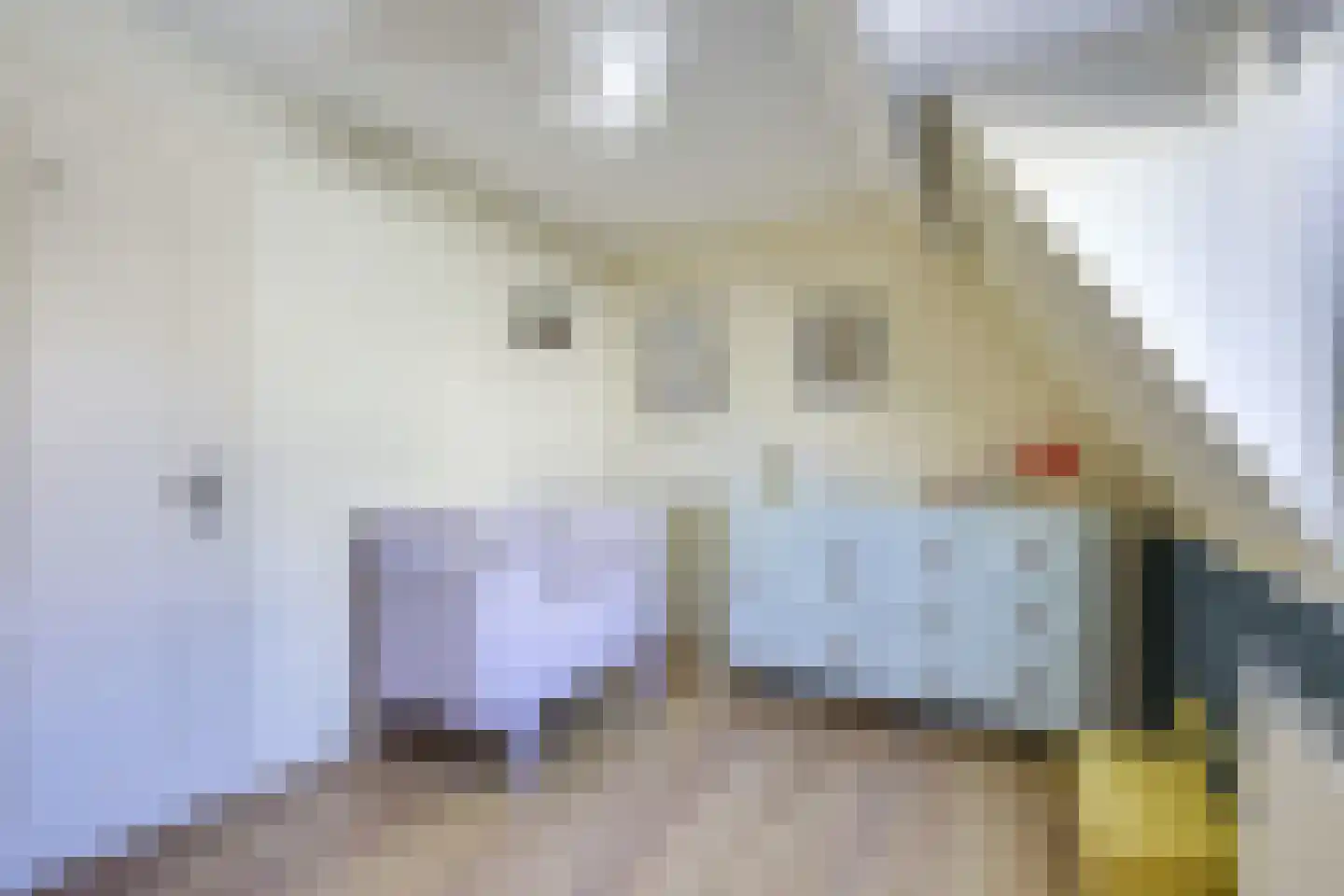 Dahliastraat 27 Utrecht thumbnail 26