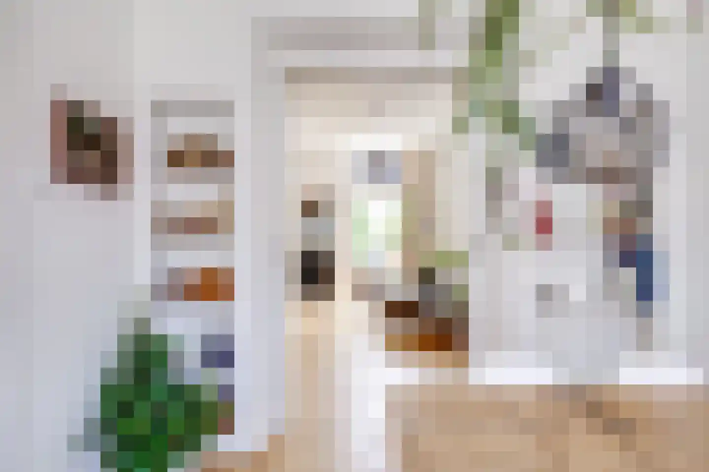 Dahliastraat 28 Utrecht thumbnail 12