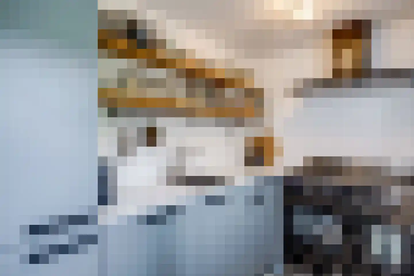 Dahliastraat 28 Utrecht thumbnail 21