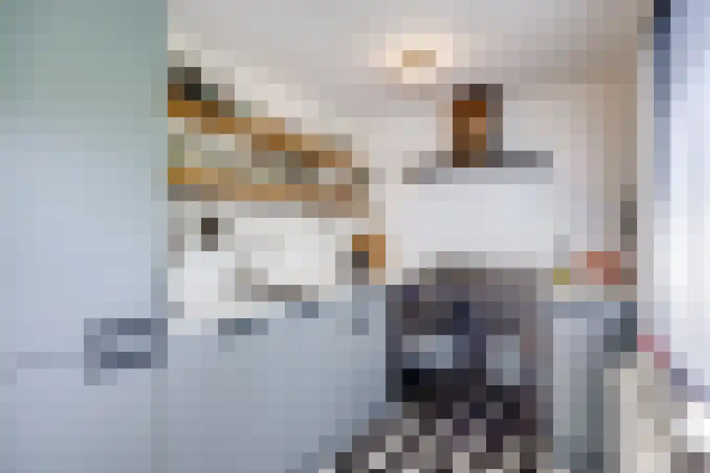 Dahliastraat 28 Utrecht thumbnail 24