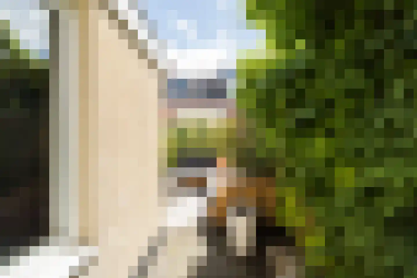 Dahliastraat 28 Utrecht thumbnail 25