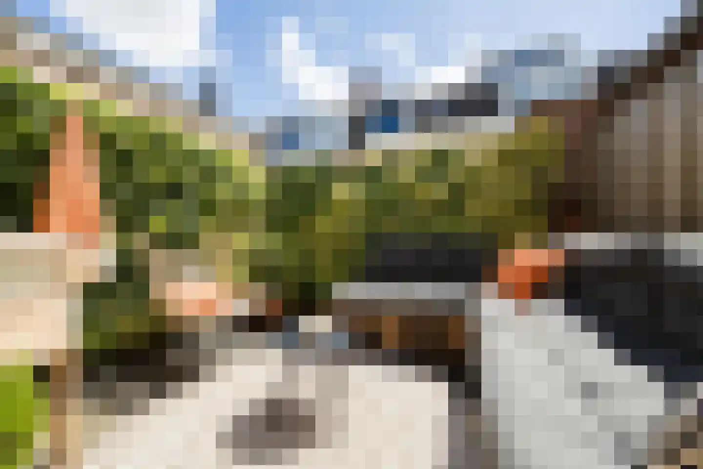 Dahliastraat 28 Utrecht thumbnail 26