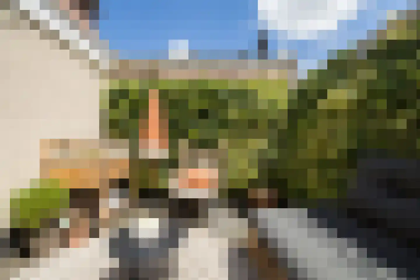 Dahliastraat 28 Utrecht thumbnail 27