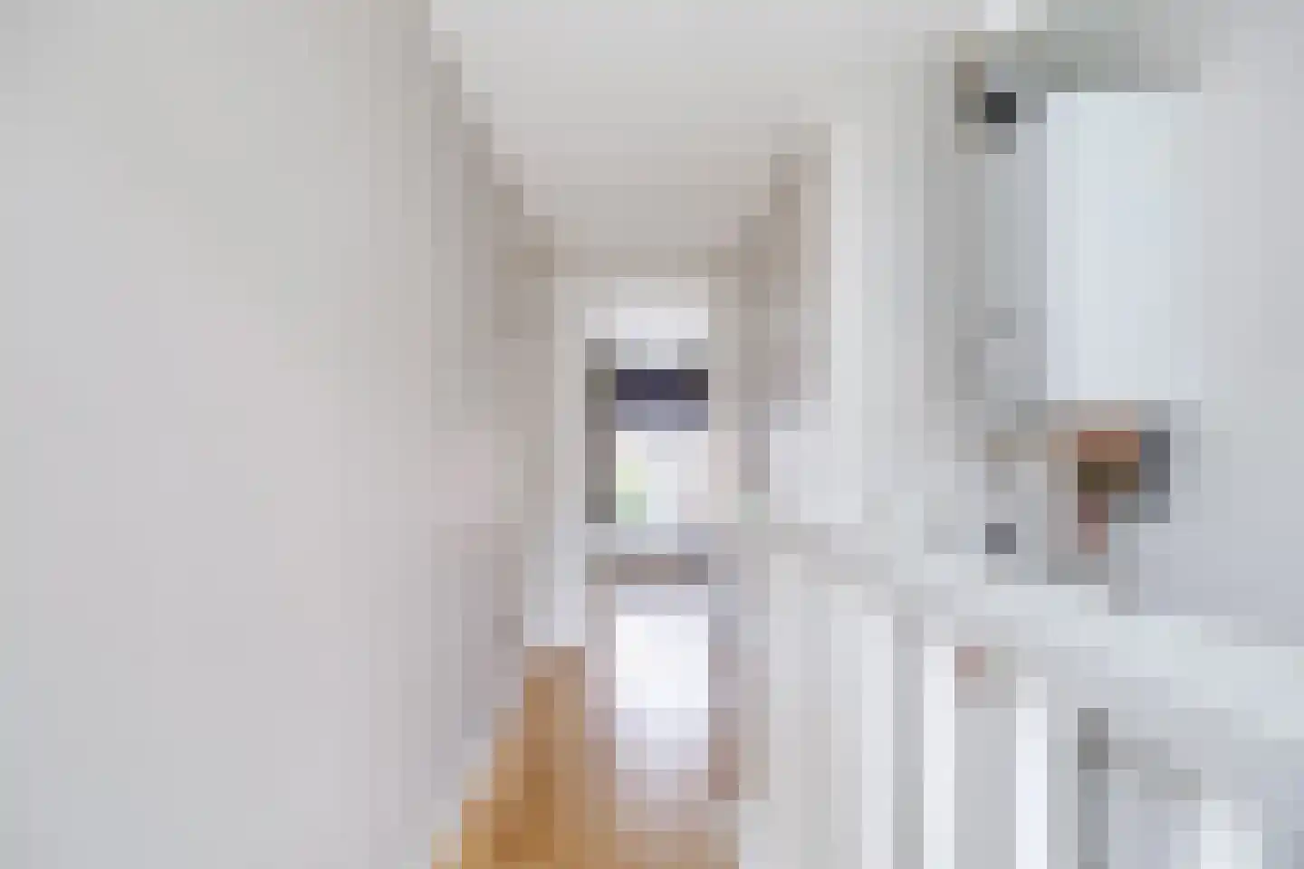 Dahliastraat 28 Utrecht thumbnail 38