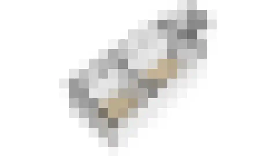 Dahliastraat 28 Utrecht thumbnail 57