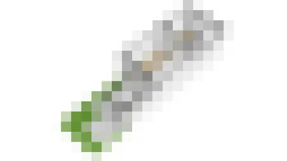 Dahliastraat 28 Utrecht thumbnail 62