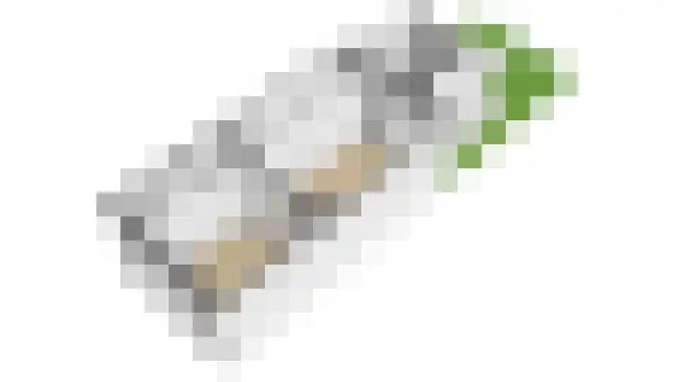 Dahliastraat 28 Utrecht thumbnail 63