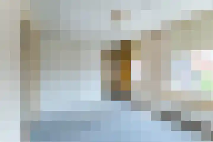 Dahliastraat 29 Culemborg thumbnail 19