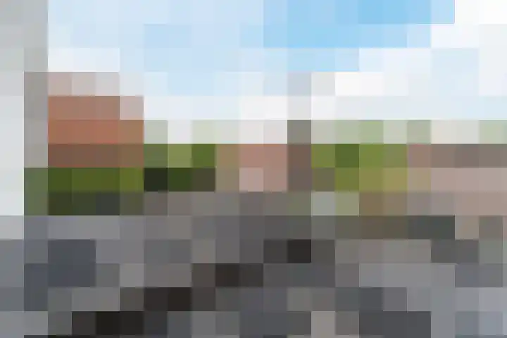 Dahliastraat 29 Culemborg thumbnail 22