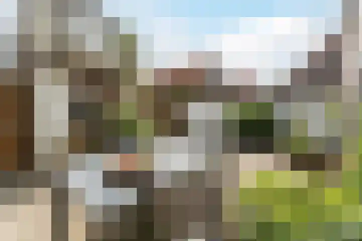 Dahliastraat 29 Culemborg thumbnail 26