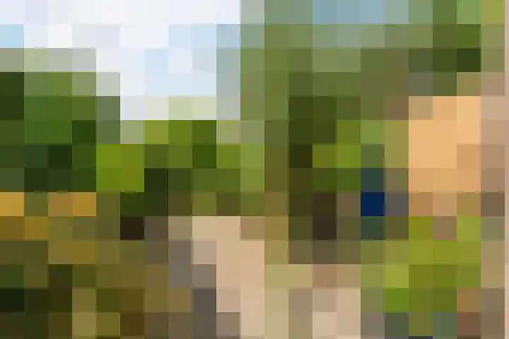 Dahliastraat 29 Culemborg thumbnail 27
