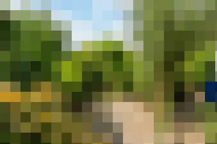 Dahliastraat 29 Culemborg thumbnail 28