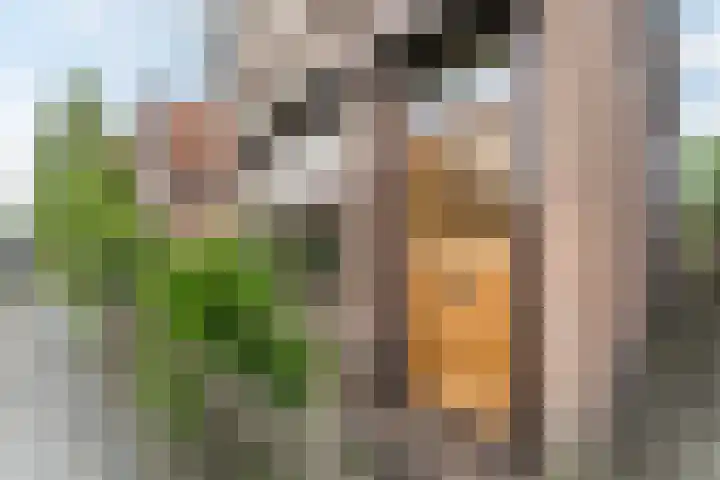 Dahliastraat 29 Culemborg thumbnail 4