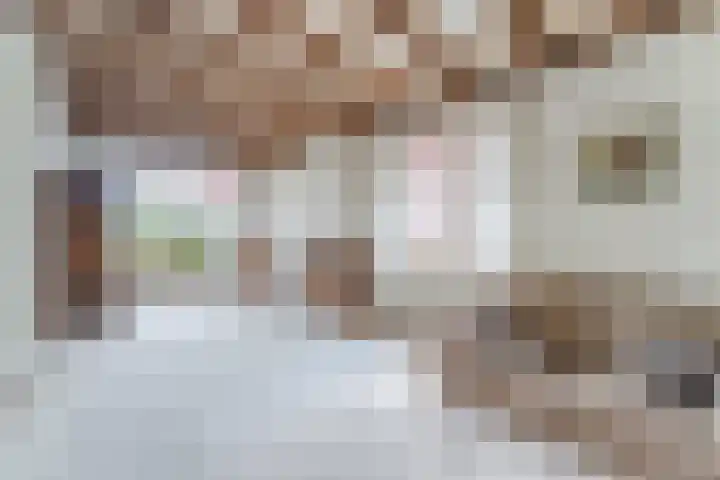 Dahliastraat 29 Culemborg thumbnail 6