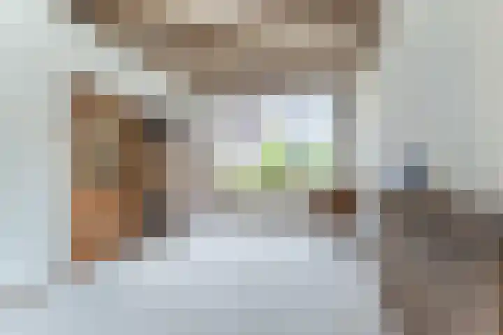 Dahliastraat 29 Culemborg thumbnail 7