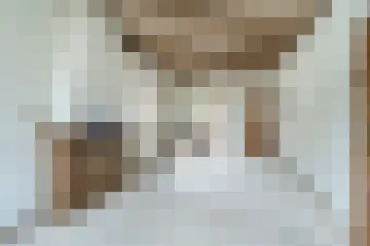 Dahliastraat 29 Culemborg thumbnail 8
