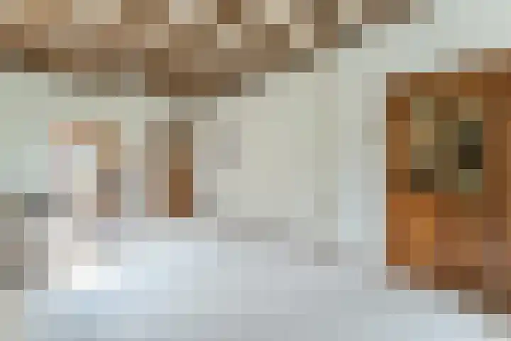 Dahliastraat 29 Culemborg thumbnail 9