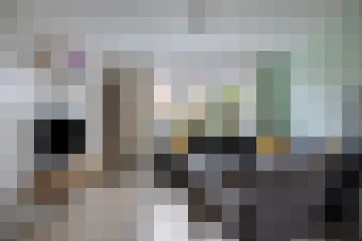 Dahliastraat 29 Nieuwendijk thumbnail 10
