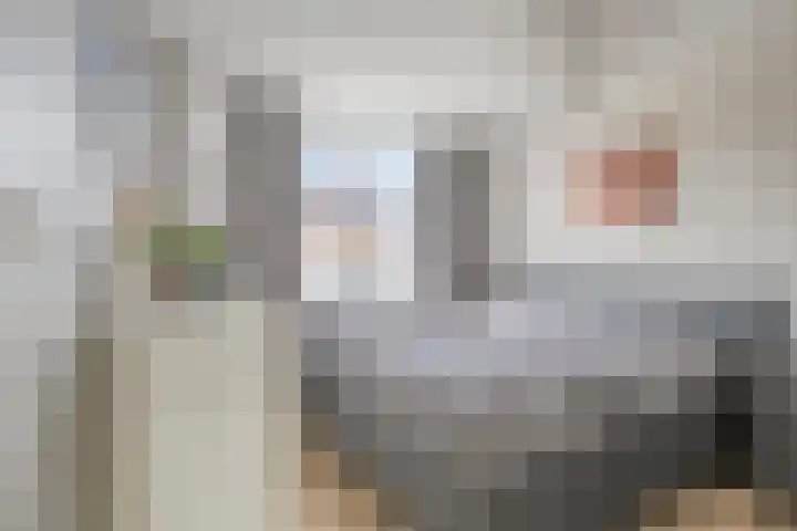Dahliastraat 29 Nieuwendijk thumbnail 20
