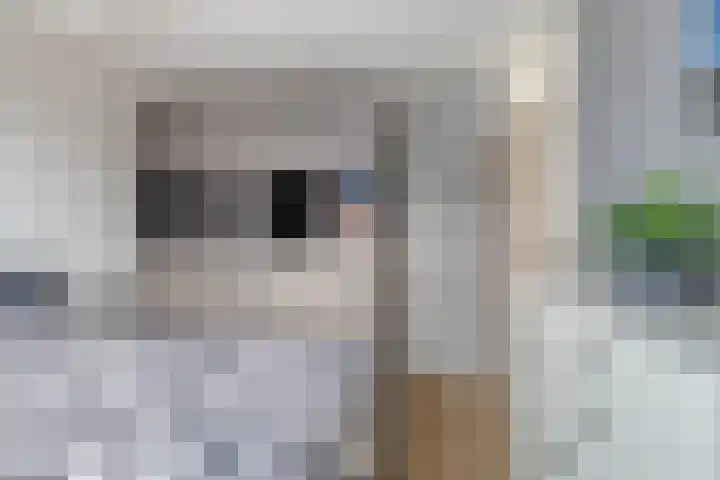 Dahliastraat 29 Nieuwendijk thumbnail 21