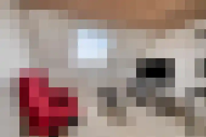 Dahliastraat 29 Nieuwendijk thumbnail 26
